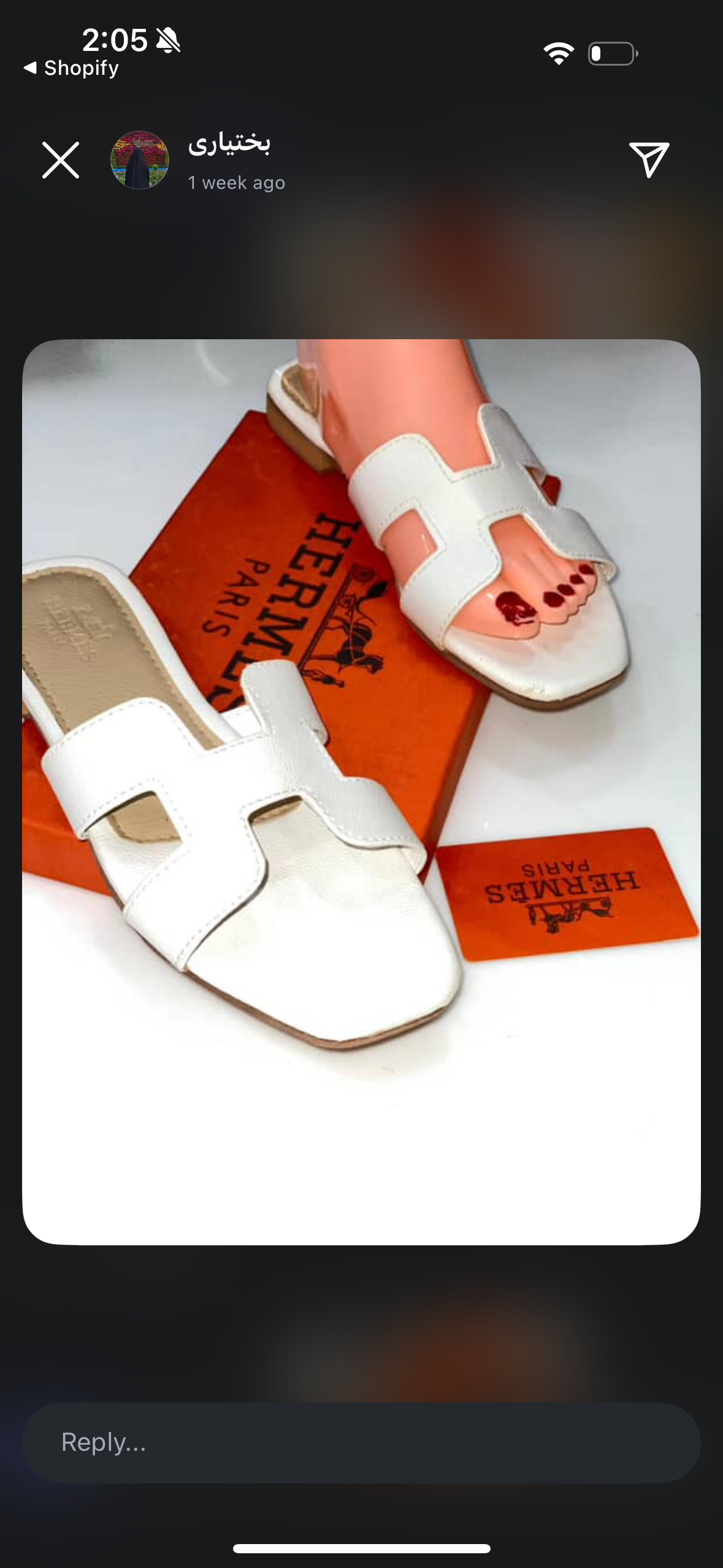 Hermes flats